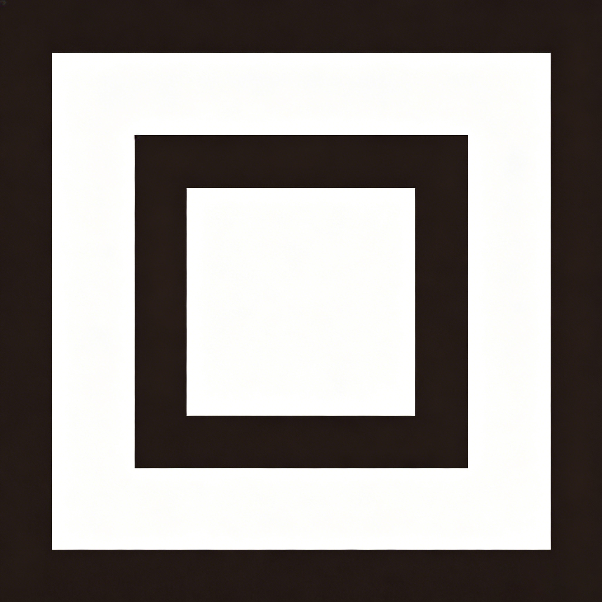 Class II Double Insulation Symbol